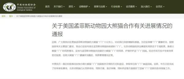 坚持住，我们来接你了！大熊猫“丫丫”准备回国