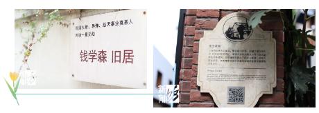 网红百年摩登街获评国家级！上海共3处，不是你想的南京路和陆家嘴