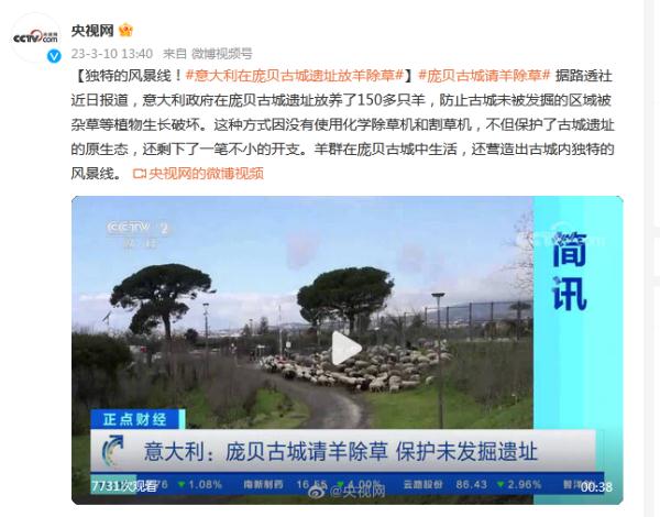 英媒:为保护未发掘遗址 意大利在庞贝古城遗址放羊除草 英媒:为保护未发掘遗址 意大利在庞贝古城遗址放羊除草