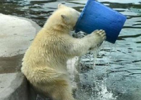 这种水千万别喝！18岁女孩脑中取出活虫！