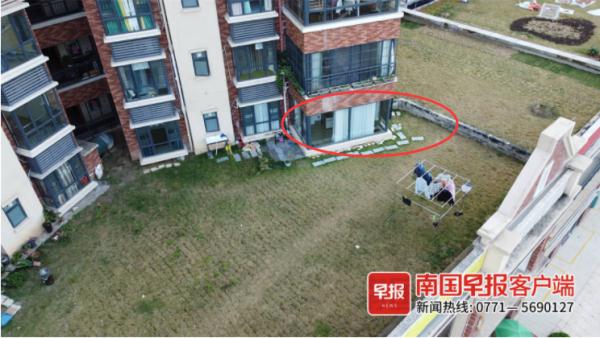 紧急提醒！厦门已出现！就在路边，碰到赶紧躲远！