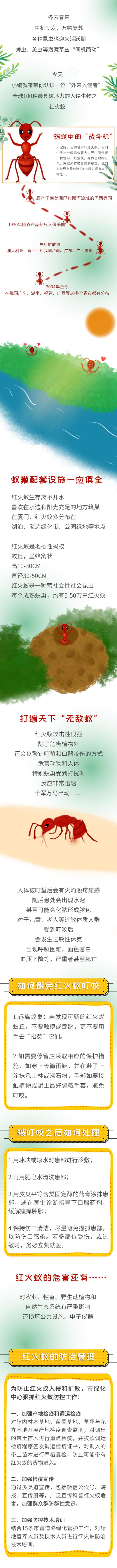 紧急提醒！厦门已出现！就在路边，碰到赶紧躲远！