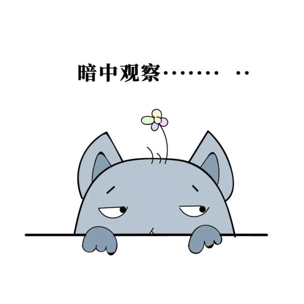 在火车上用盆泡10袋方便面吃！当事人回应了→