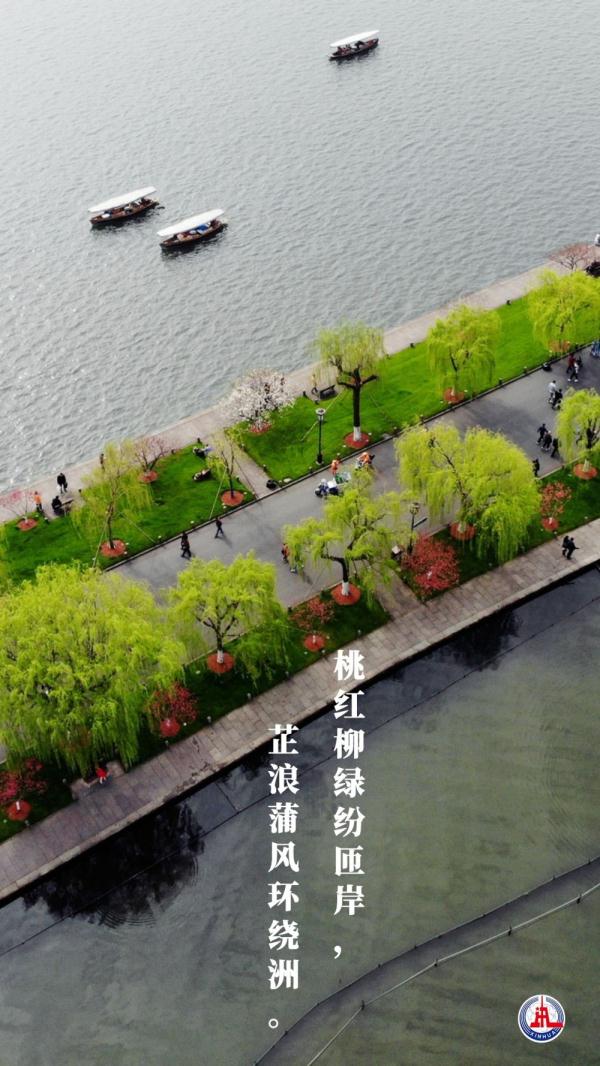 新华全媒+丨植树传统，从古诗中走来