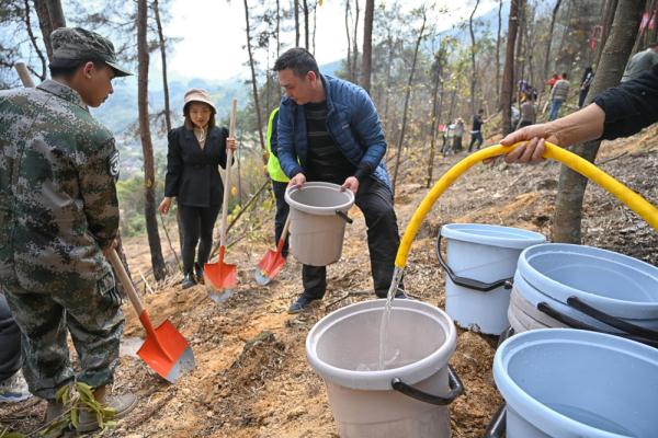 缙云山火扑救志愿者又上山了，这次是植树补苗