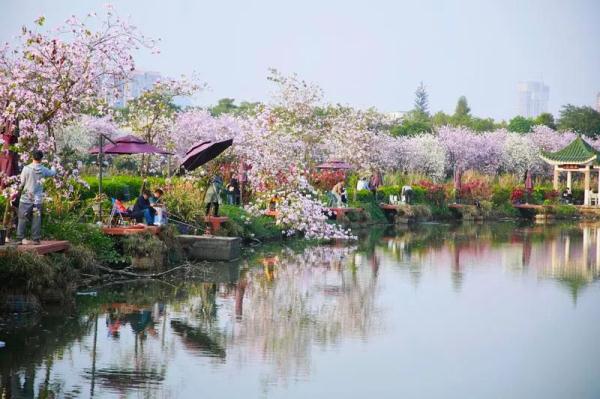 冷空气明天到!或结束超长晴天,最低气温出现在…… 冷空气明天到!或结束超长晴天,最低气温出现在……
