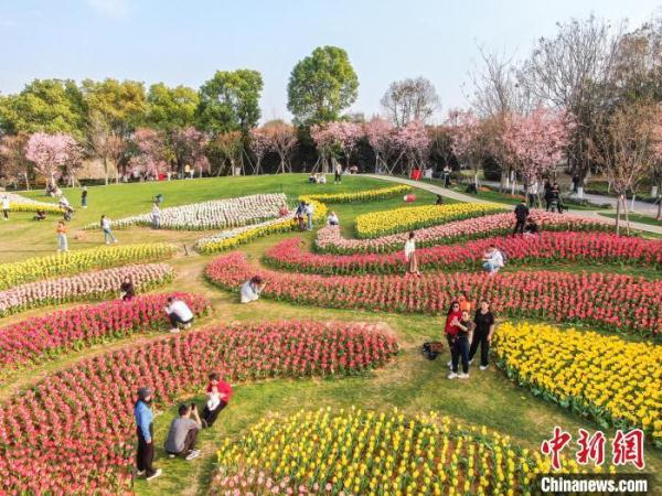 江西南昌凤凰沟各色鲜花竞相绽放 游客踏春赏美景