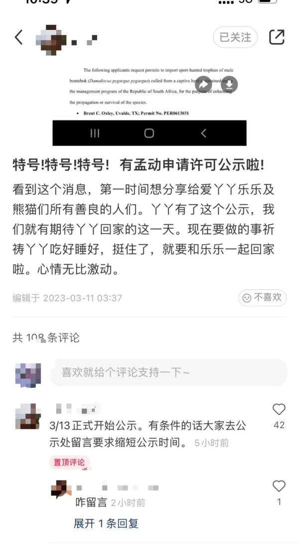 美国将公示“丫丫”“乐乐”回国证明！网友为全世界大熊猫操碎了心
