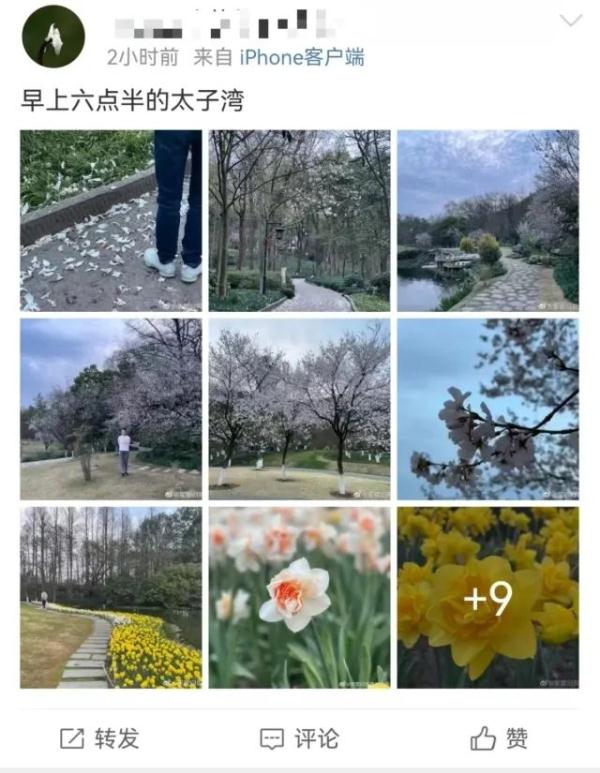 今天一早，杭州这里就“满”了……网友：景区“花”时间，路上花时间