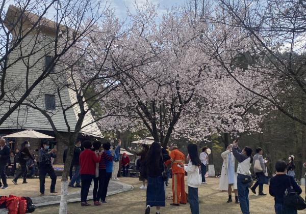 今天一早，杭州这里就“满”了……网友：景区“花”时间，路上花时间