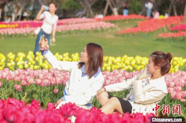 江西南昌凤凰沟各色鲜花竞相绽放 游客踏春赏美景