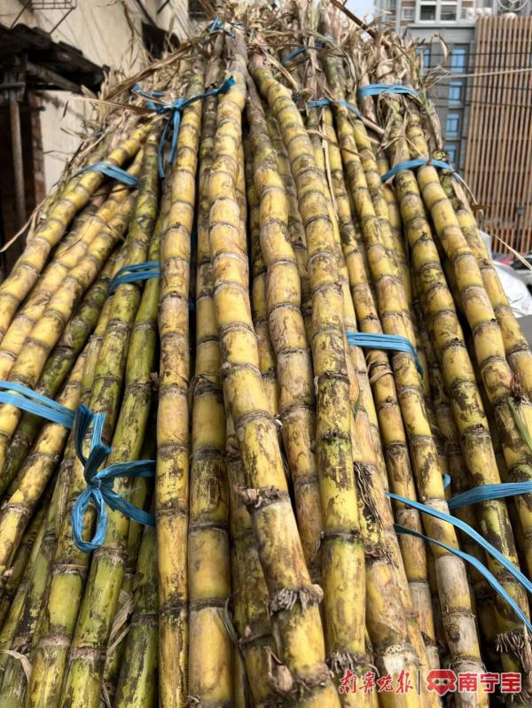 警惕!春季这些发霉变质食物易引起中毒 警惕!春季这些发霉变质食物易引起中毒