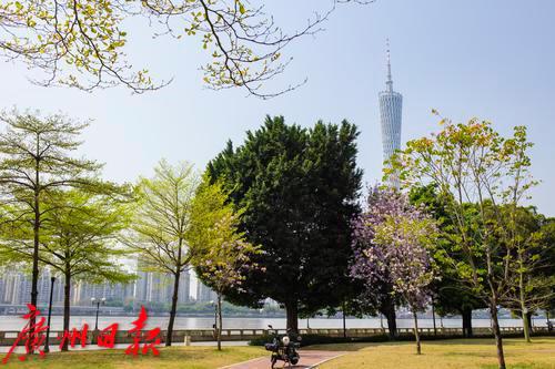 冷空气明天到!或结束超长晴天,最低气温出现在…… 冷空气明天到!或结束超长晴天,最低气温出现在……