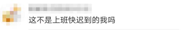 男子骑小黄车飙过专业车队！网友：这不是上班快迟到的我吗