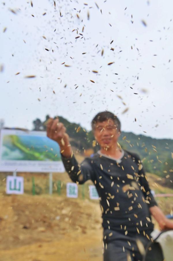 缙云山火扑救志愿者又上山了，这次是植树补苗