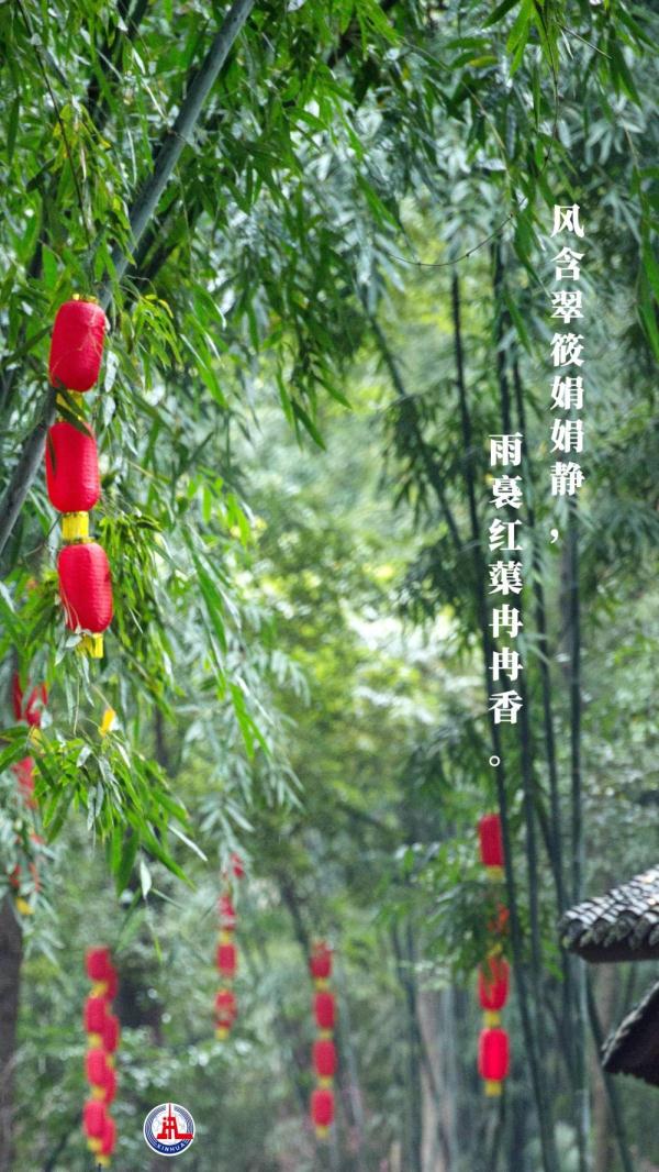 新华全媒+丨植树传统，从古诗中走来