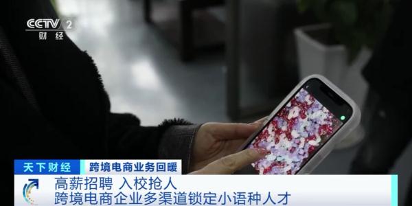 年薪百万！高薪招聘这类人才成“香饽饽”！怎么这么火？