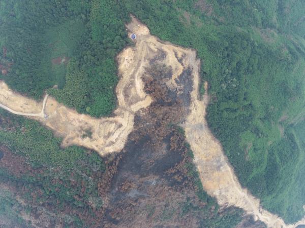 缙云山火扑救志愿者又上山了，这次是植树补苗