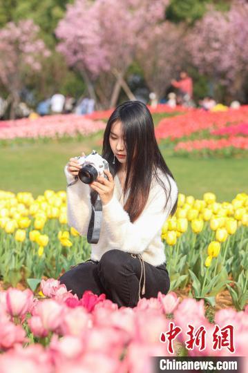 江西南昌凤凰沟各色鲜花竞相绽放 游客踏春赏美景