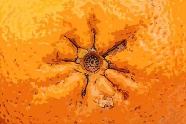 急！发现男友偷偷用药，小小一个，不像口服？网友却说：这药，是男人之间的秘密