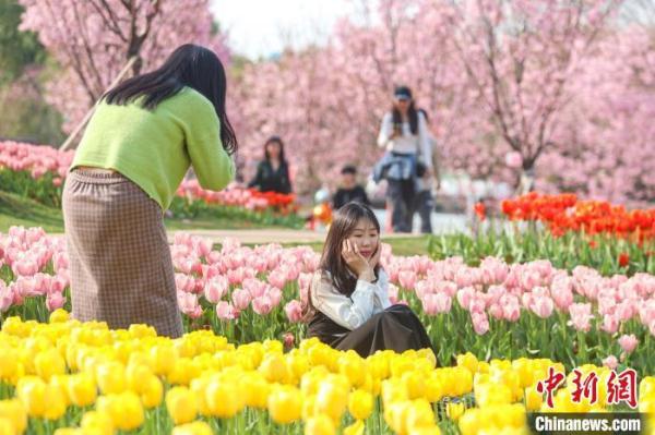 江西南昌凤凰沟各色鲜花竞相绽放 游客踏春赏美景
