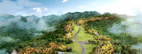 缙云山火扑救志愿者又上山了，这次是植树补苗