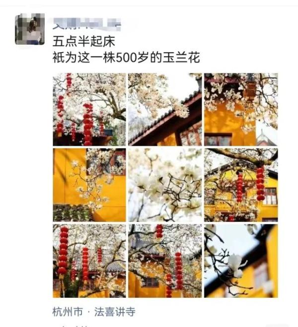 今天一早，杭州这里就“满”了……网友：景区“花”时间，路上花时间
