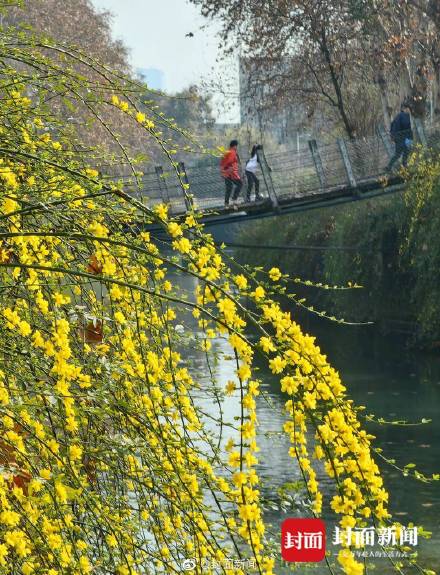 美不胜收！这不是画是成都的春天