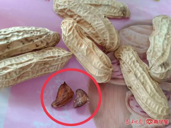 警惕!春季这些发霉变质食物易引起中毒 警惕!春季这些发霉变质食物易引起中毒