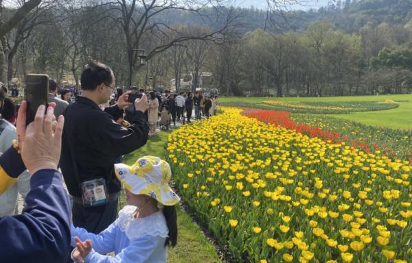 今天一早，杭州这里就“满”了……网友：景区“花”时间，路上花时间