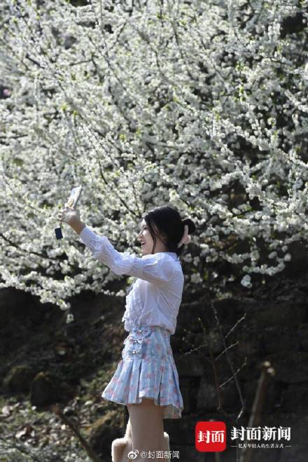 美不胜收！这不是画是成都的春天