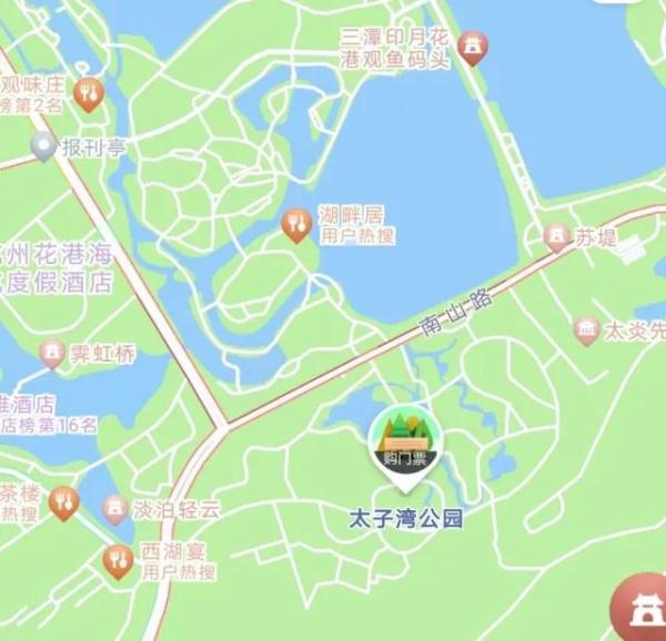 今天一早，杭州这里就“满”了……网友：景区“花”时间，路上花时间