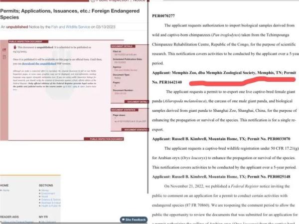 美国将公示“丫丫”“乐乐”回国证明！网友为全世界大熊猫操碎了心