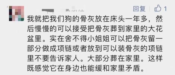 姑娘把骨灰放床头，遭全家反对！应该如何善后？网友说...