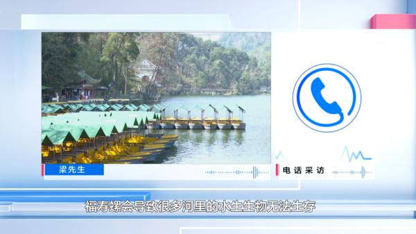 警惕！贵阳再现“入侵生物”，不要食用！不要食用！