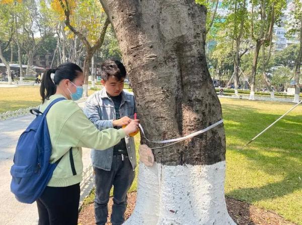 识一棵“树”，听一段“古”！广州古树名木那些事