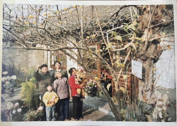广玉兰、香樟、腊梅，它们扎根在这三家上海人心里，留住最深的乡愁 | 十分上海
