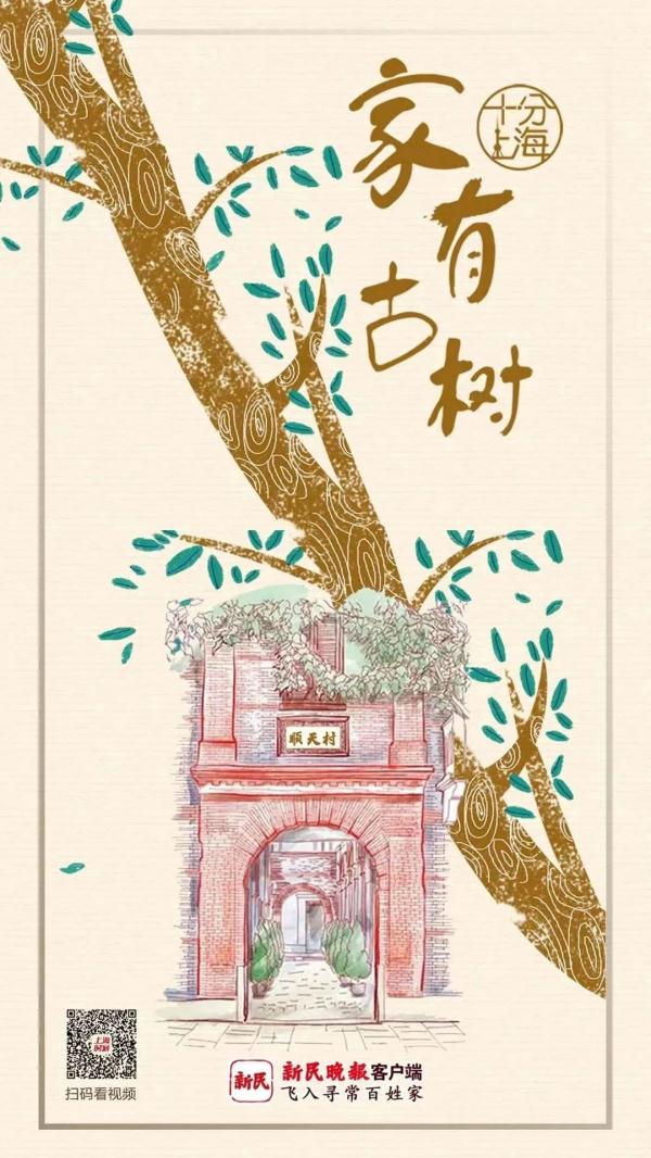 广玉兰、香樟、腊梅，它们扎根在这三家上海人心里，留住最深的乡愁 | 十分上海