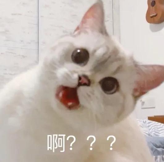 压箱底的旧包可以“卖”回专柜了，Coach推出这项业务，你心动了吗？
