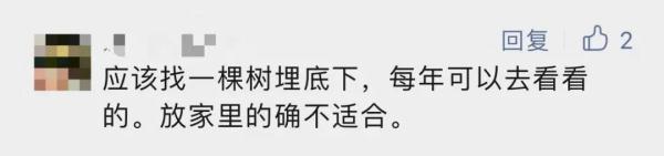 姑娘把骨灰放床头，遭全家反对！应该如何善后？网友说...