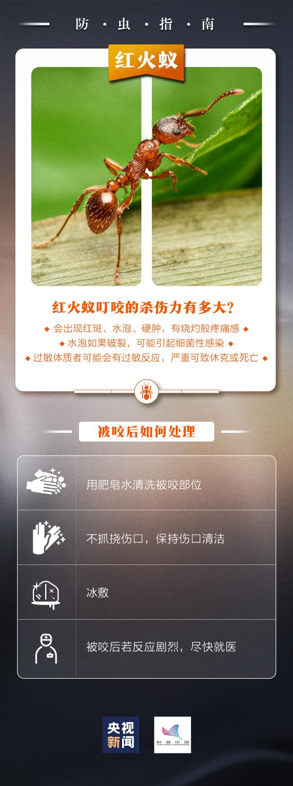 看见了千万别碰，有剧毒！国内多地已发提醒！