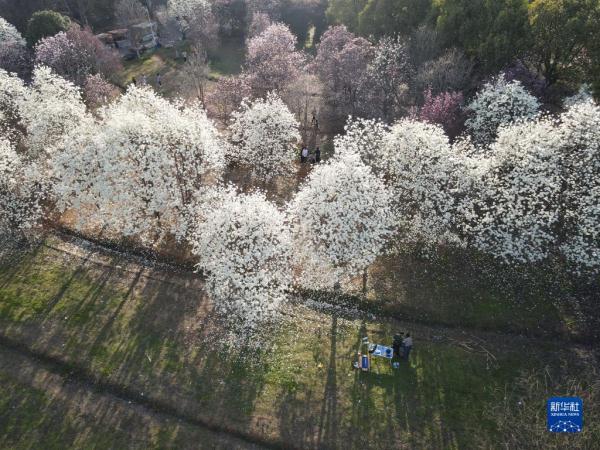 春到凤凰沟