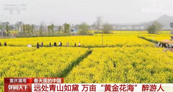 中国多地桃红柳绿 春光正好 生机萌动 中国多地桃红柳绿 春光正好 生机萌动