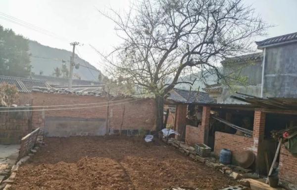 老奶奶将7万养老金埋家前院树下，半月后没找着焦急报警求助