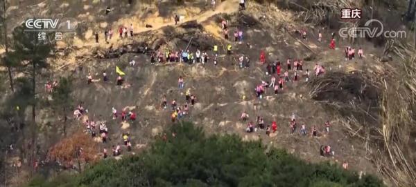 神州大地青未了 为地球增添更多“中国绿”