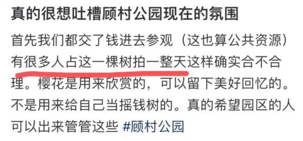 2天10万人涌入，树都不够用！上海顾村公园樱花树几乎都被占领拍照，网友热议