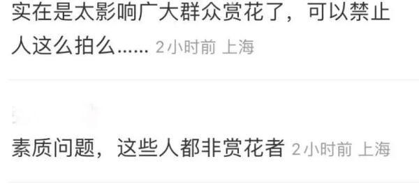 2天10万人涌入，树都不够用！上海顾村公园樱花树几乎都被占领拍照，网友热议