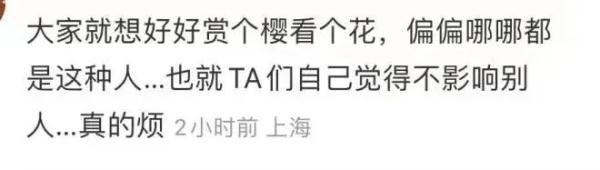 2天10万人涌入，树都不够用！上海顾村公园樱花树几乎都被占领拍照，网友热议