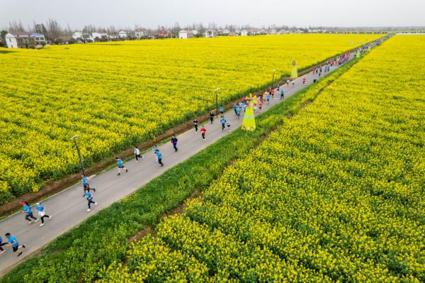 边跑边赏美景——一场油菜花海里的马拉松赛