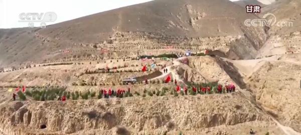 神州大地青未了 为地球增添更多“中国绿”